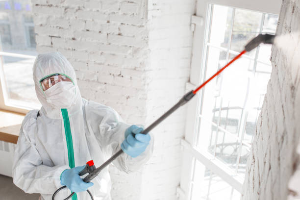 Asbestos and Lead Testing During Mold Inspection in Morris, MN