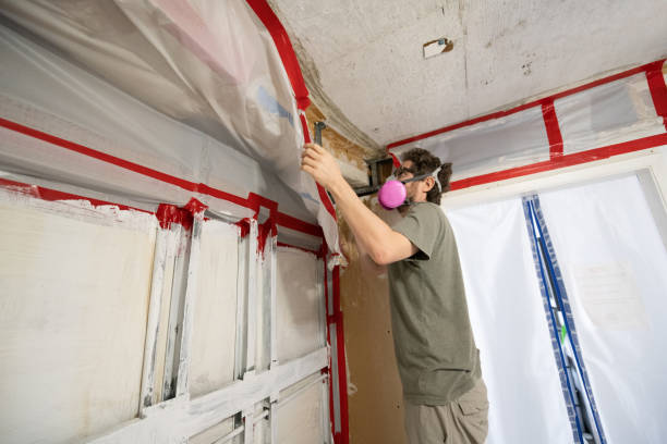 Mold Removal for HVAC Installations in Morris, MN