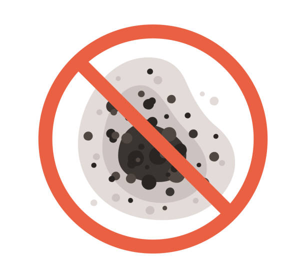 Professional Mold Removal in Morris, MN